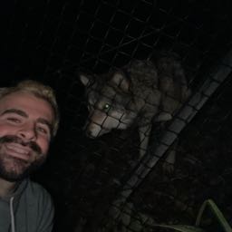 theowooldridge on One Bite Pizza App