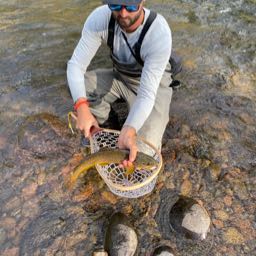 kc.williams on One Bite Pizza App