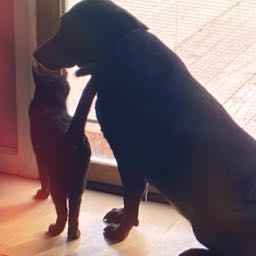 ashlee.blue on One Bite Pizza App