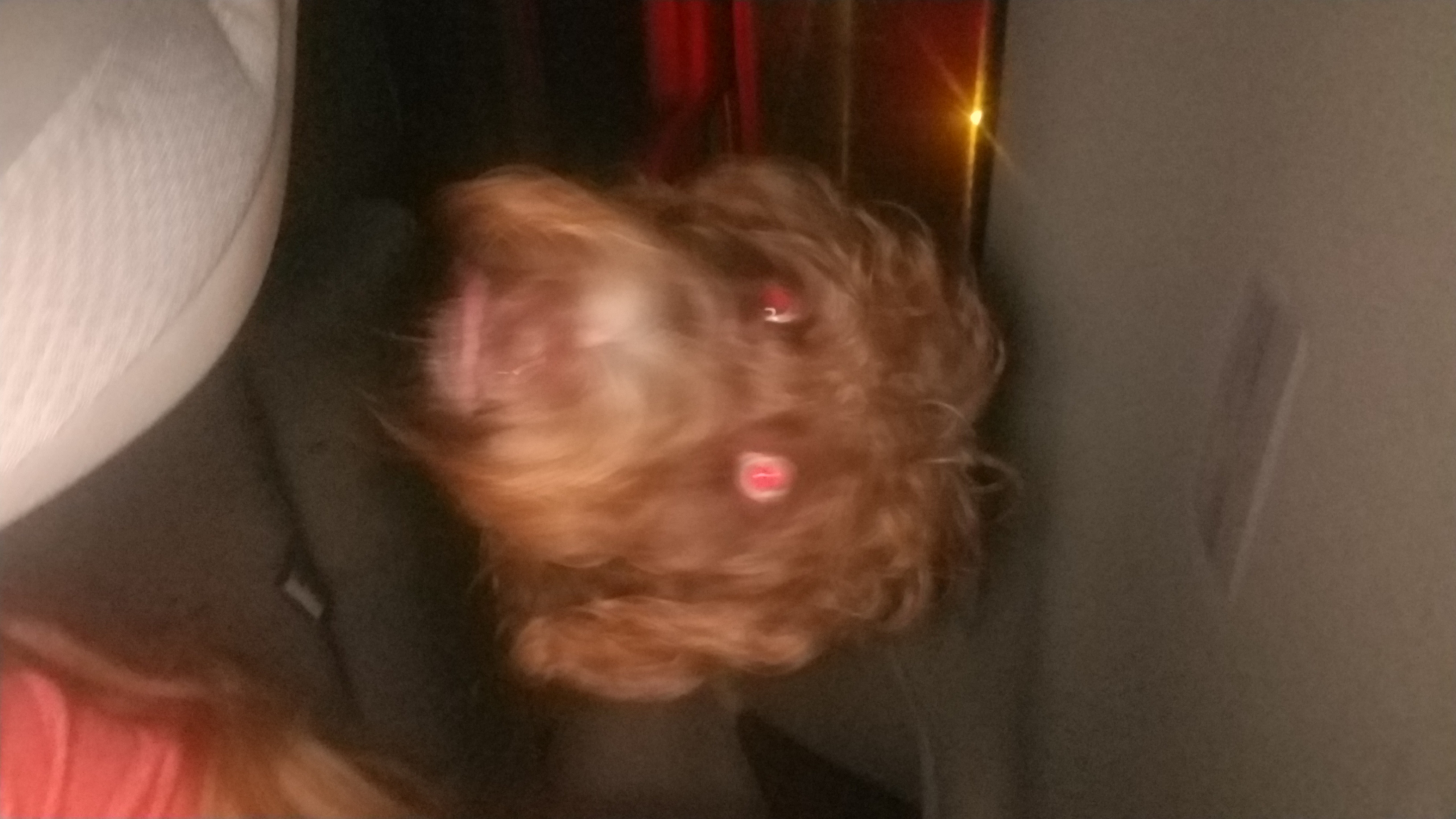 pete.lovel on One Bite Pizza App