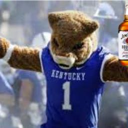 ngdlite on One Bite Pizza App