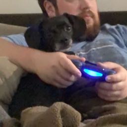 knapptime on One Bite Pizza App