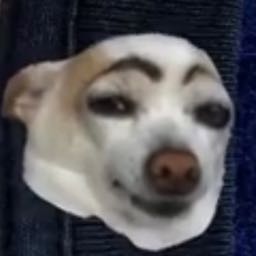 5bkelly5 on One Bite Pizza App