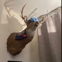 jonny.tomatoes on One Bite Pizza App