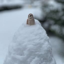 tyler.durden8 on One Bite Pizza App