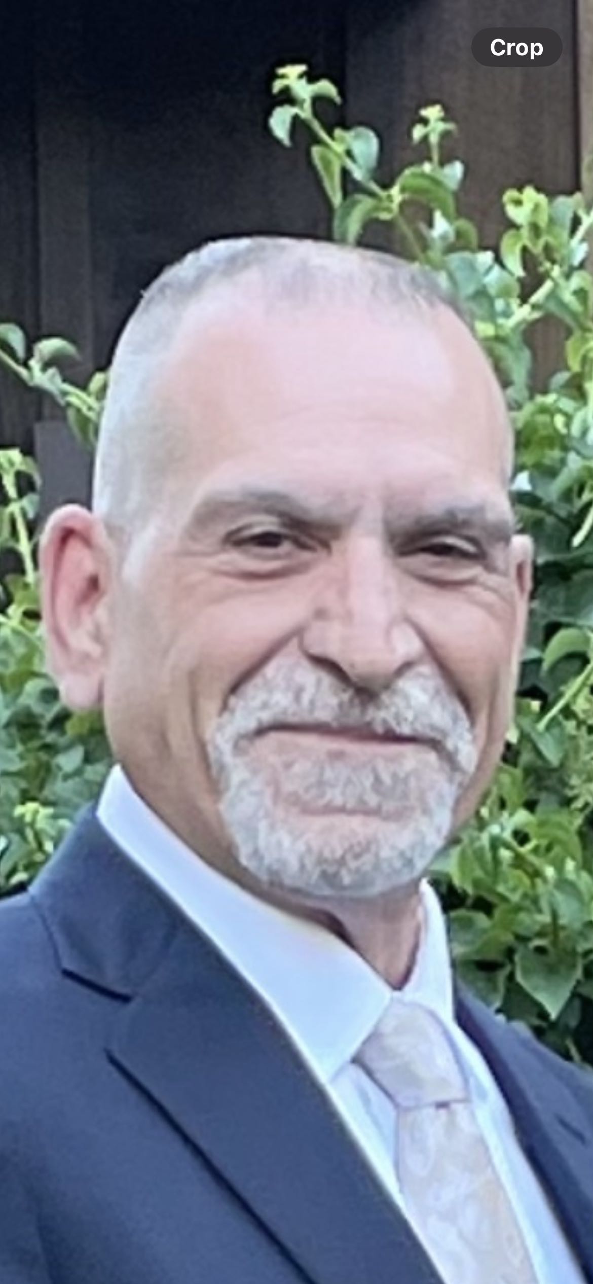 vchenz on One Bite Pizza App