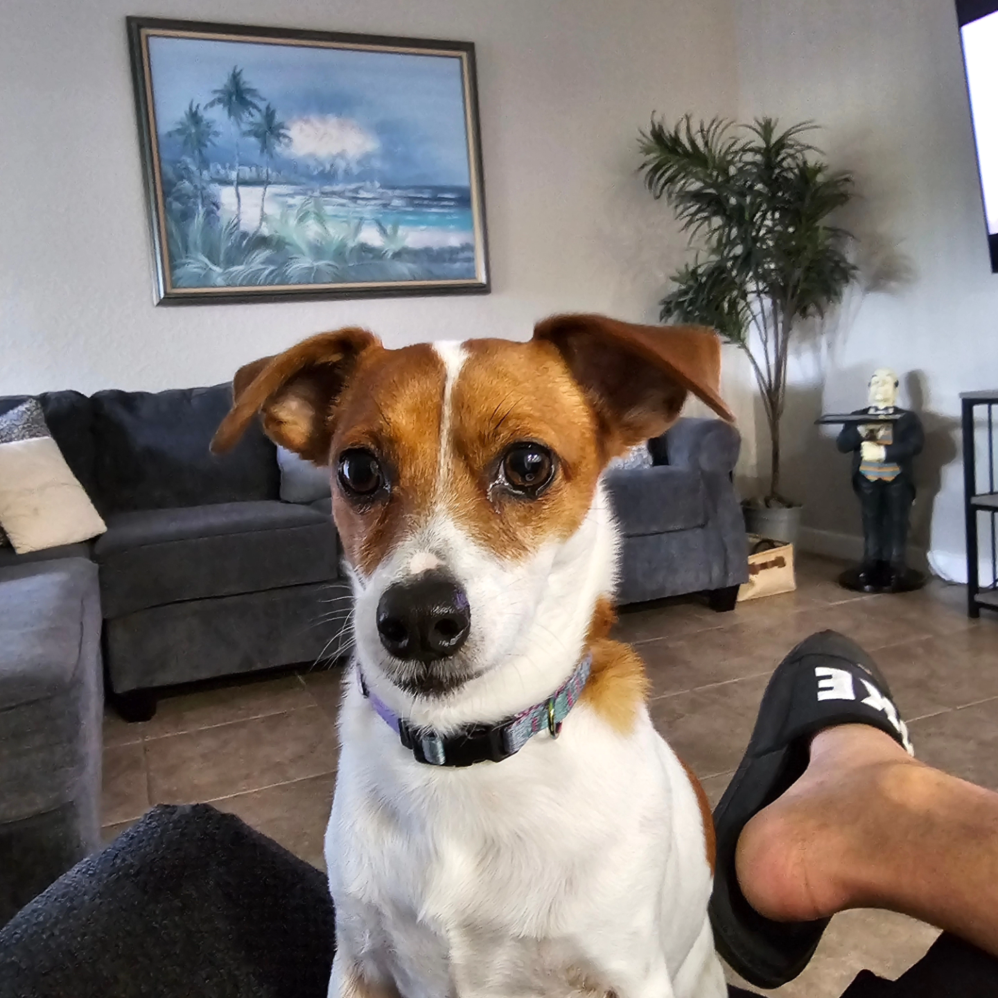 james.martin19 on One Bite Pizza App