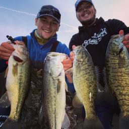 tyler.stacy1 on One Bite Pizza App