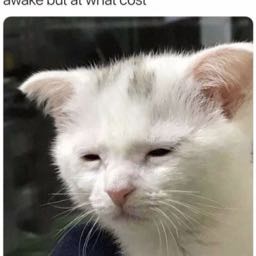 eric.gunderson on One Bite Pizza App