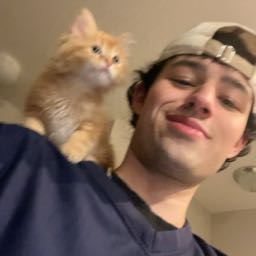 dylandaly on One Bite Pizza App