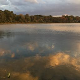 mike.hyde on One Bite Pizza App