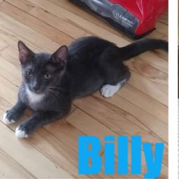 nw3008 on One Bite Pizza App