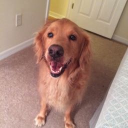 brock.mcpeters on One Bite Pizza App