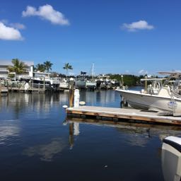 steve.stacey on One Bite Pizza App