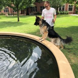 corbin.polson on One Bite Pizza App