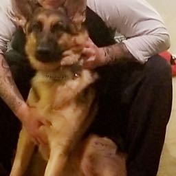 alex.acker on One Bite Pizza App