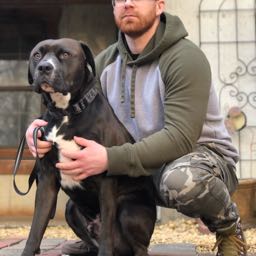 kylesweettea on One Bite Pizza App