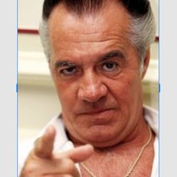 andrew.torre on One Bite Pizza App