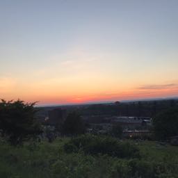 bubby973528 on One Bite Pizza App