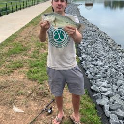 billbowards on One Bite Pizza App