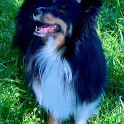 mitchell.gordon on One Bite Pizza App