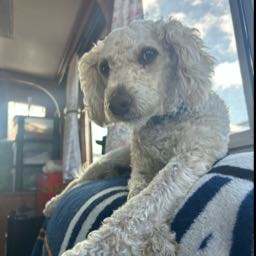 david.rogers10 on One Bite Pizza App