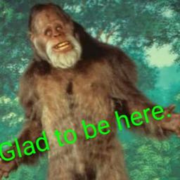 ben.mckibbin on One Bite Pizza App