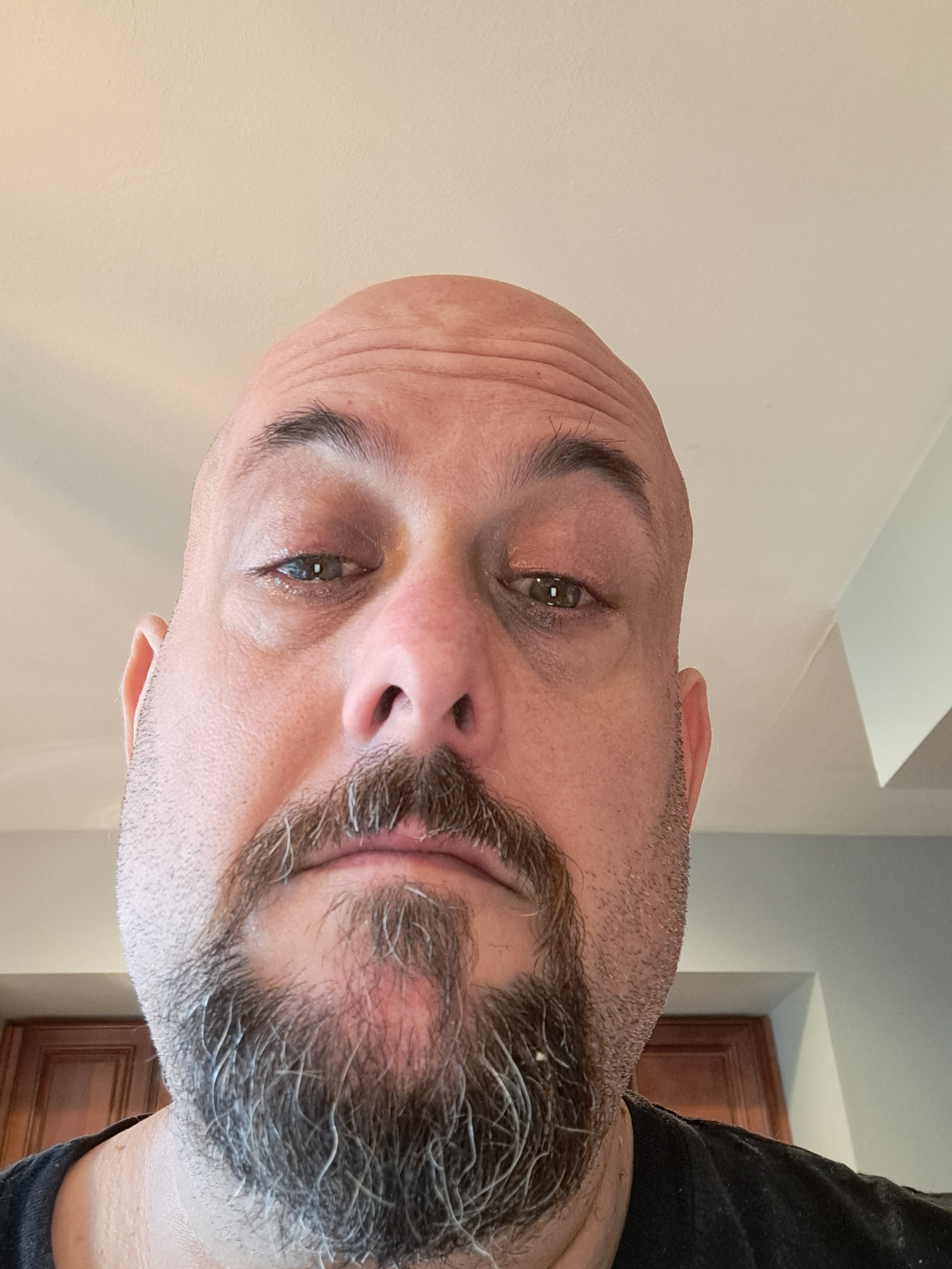 chris.scafa on One Bite Pizza App