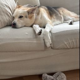 matt.harman on One Bite Pizza App