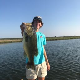 andrew.miller32 on One Bite Pizza App