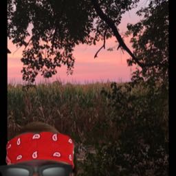 rodrigo1 on One Bite Pizza App