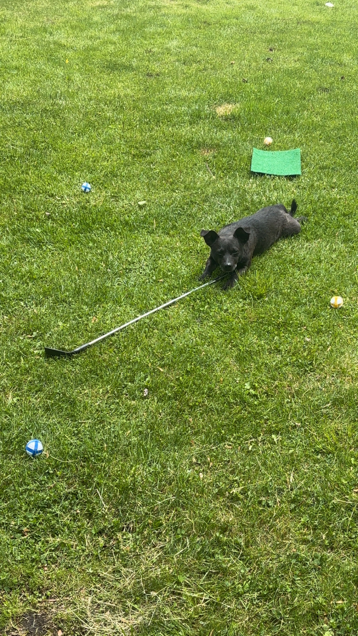 cooper.booper on One Bite Pizza App