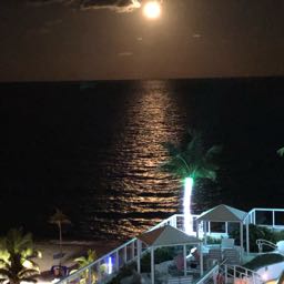 chris.correggio on One Bite Pizza App