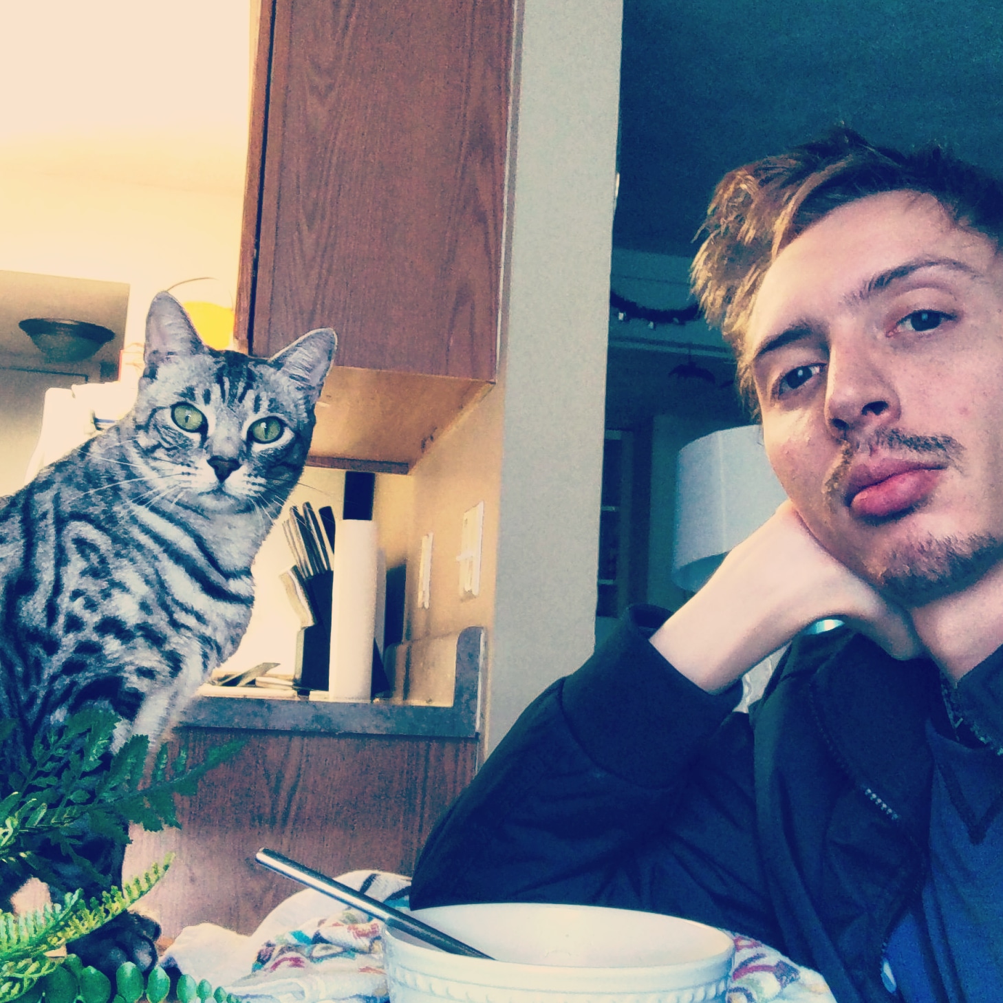 tyler.matlock on One Bite Pizza App