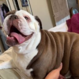 derek.martinez on One Bite Pizza App