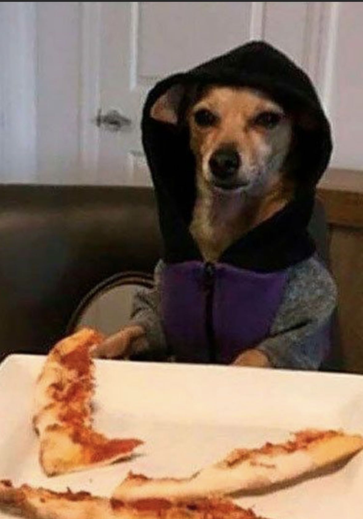 donna.gross on One Bite Pizza App