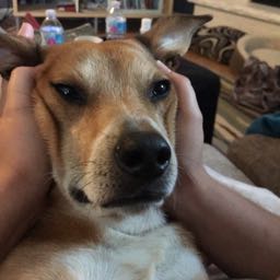 jimmy.mcnamara on One Bite Pizza App