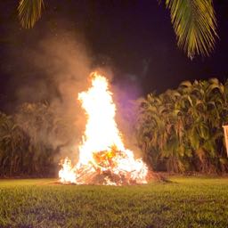 pizza-inspector on One Bite Pizza App