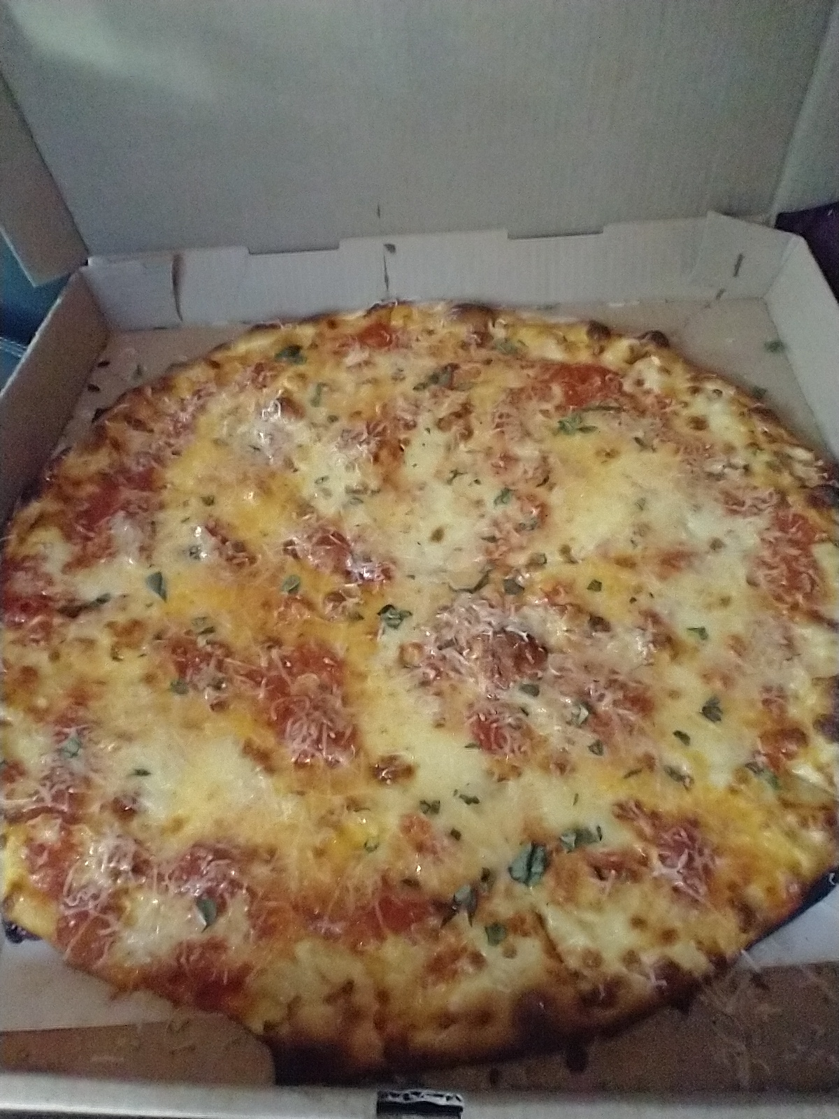 Pizza Review
