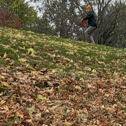 brock.martin6 on One Bite Pizza App