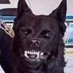 jon.sturg on One Bite Pizza App