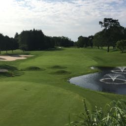 shane.kelly4 on One Bite Pizza App