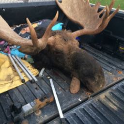 onebitetyler on One Bite Pizza App