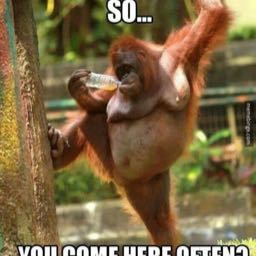 andrew.kroesing on One Bite Pizza App