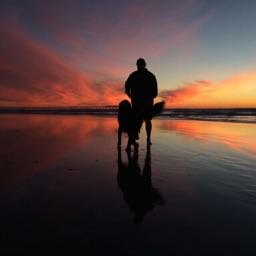 nh2crcooh on One Bite Pizza App