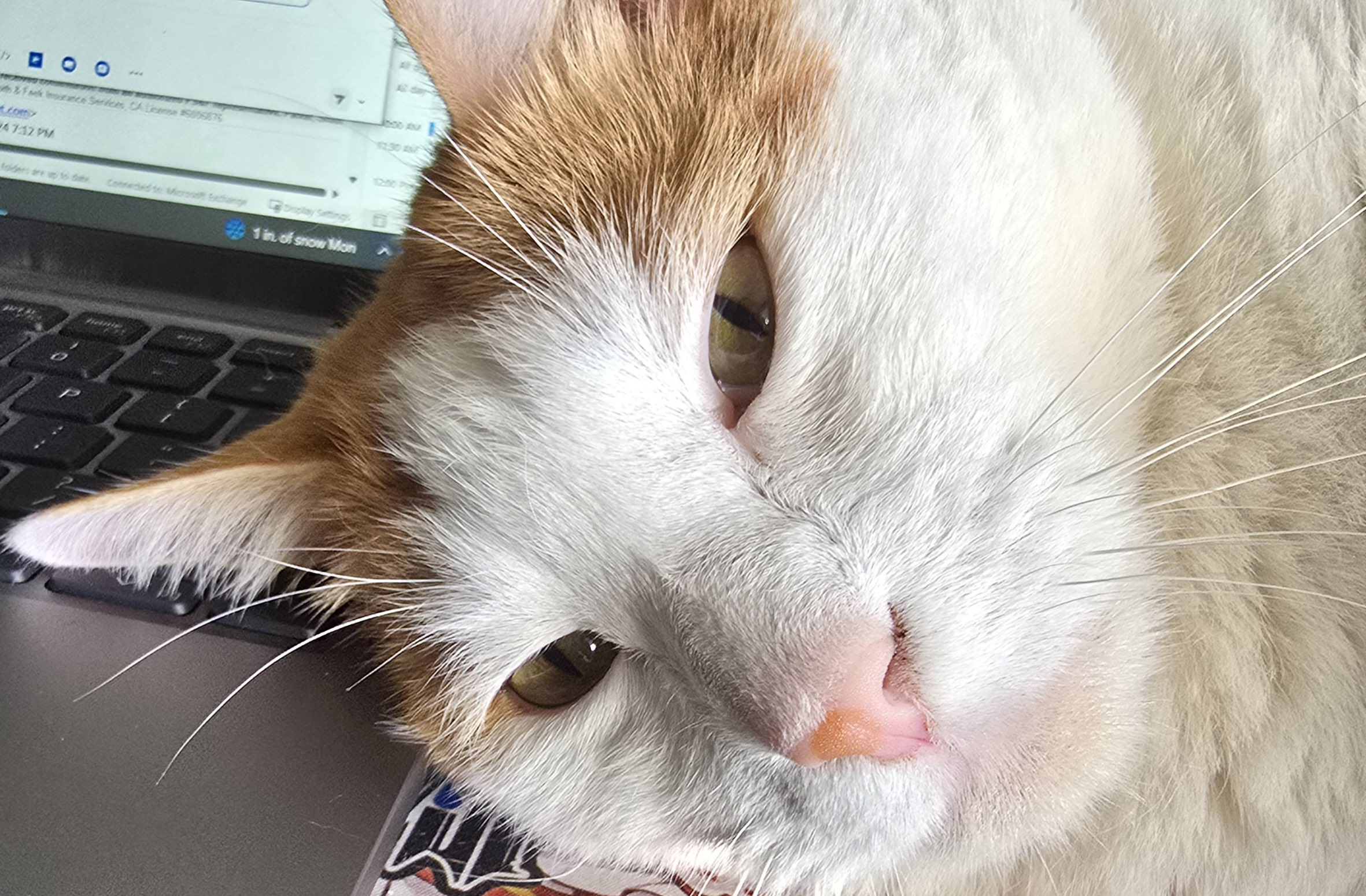 kusa.marijuanic on One Bite Pizza App