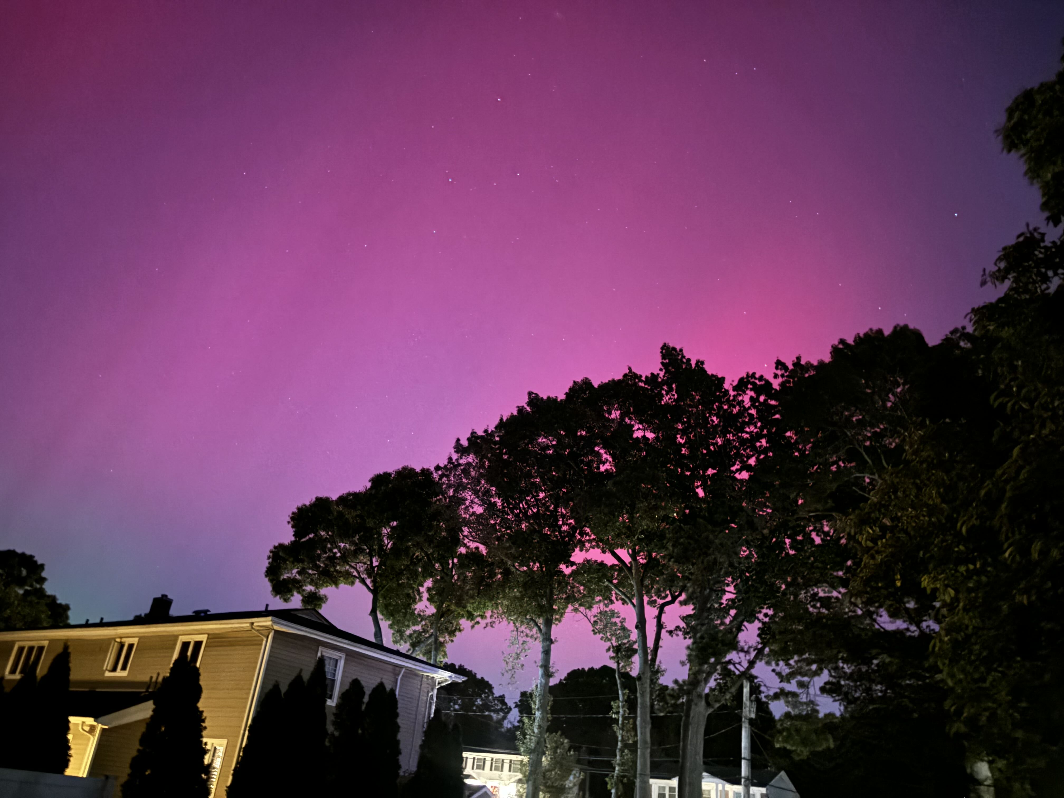 richard.santoli on One Bite Pizza App