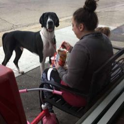 david.andrix on One Bite Pizza App