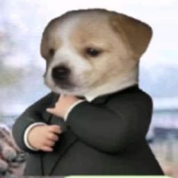 conor.whitcomb on One Bite Pizza App