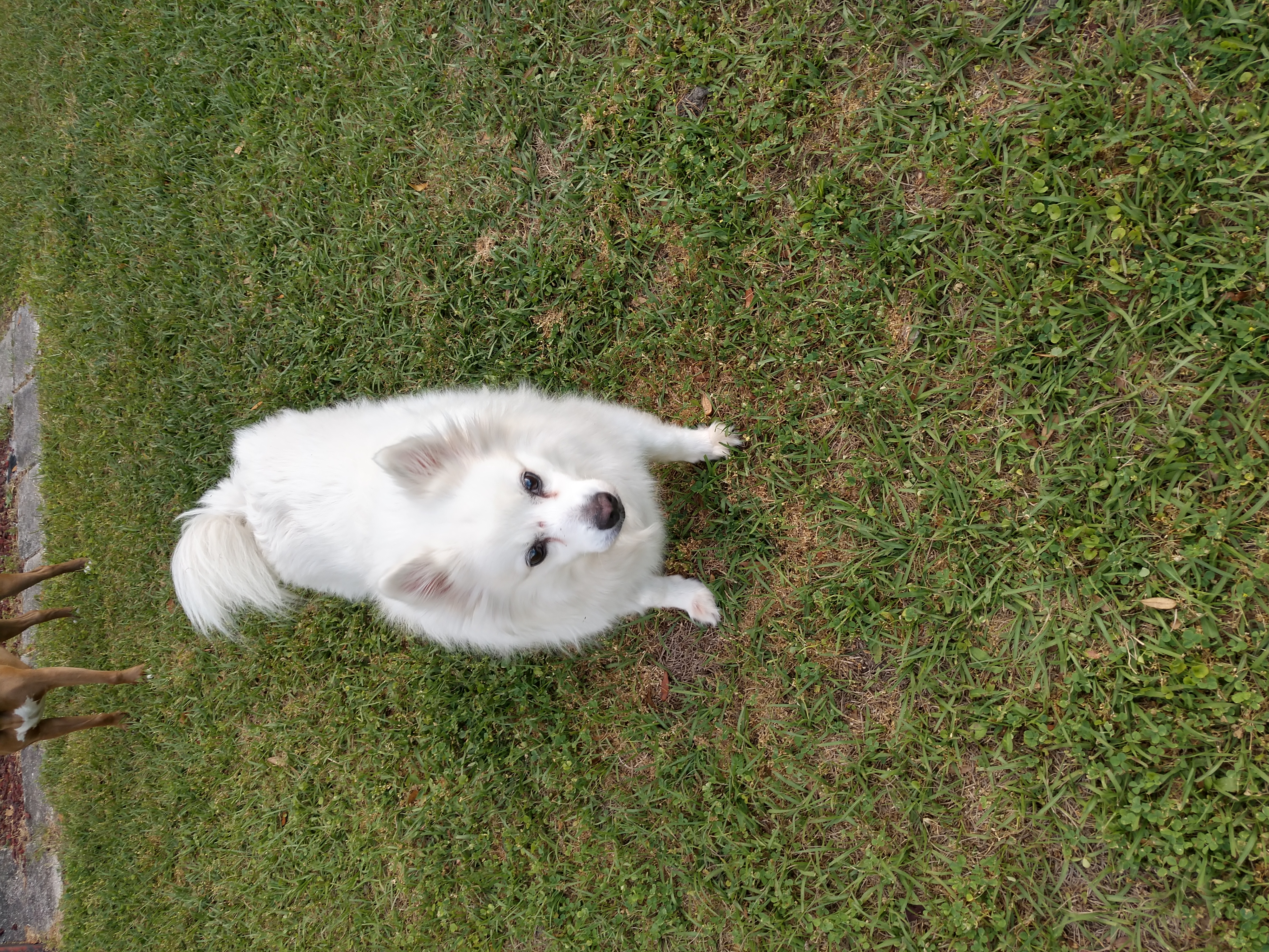 rob.murphy1 on One Bite Pizza App